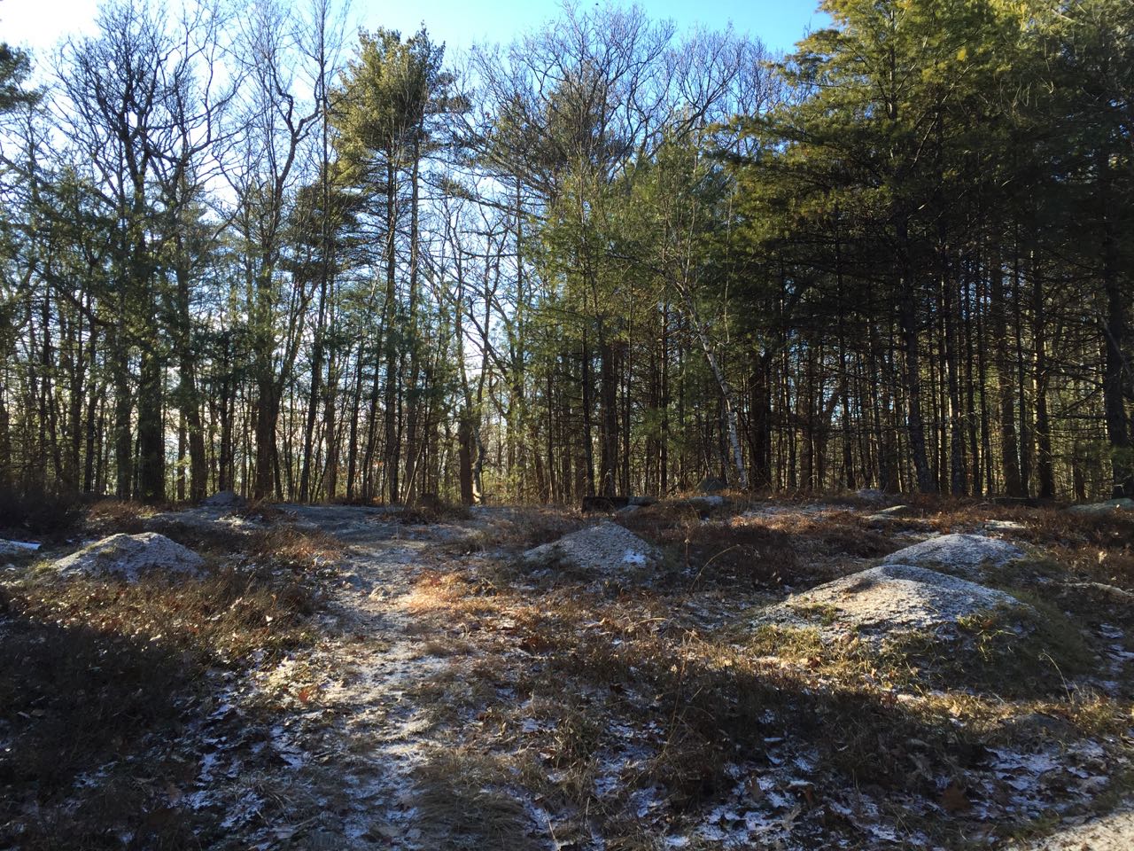 Bear Hill NH Family Hikes