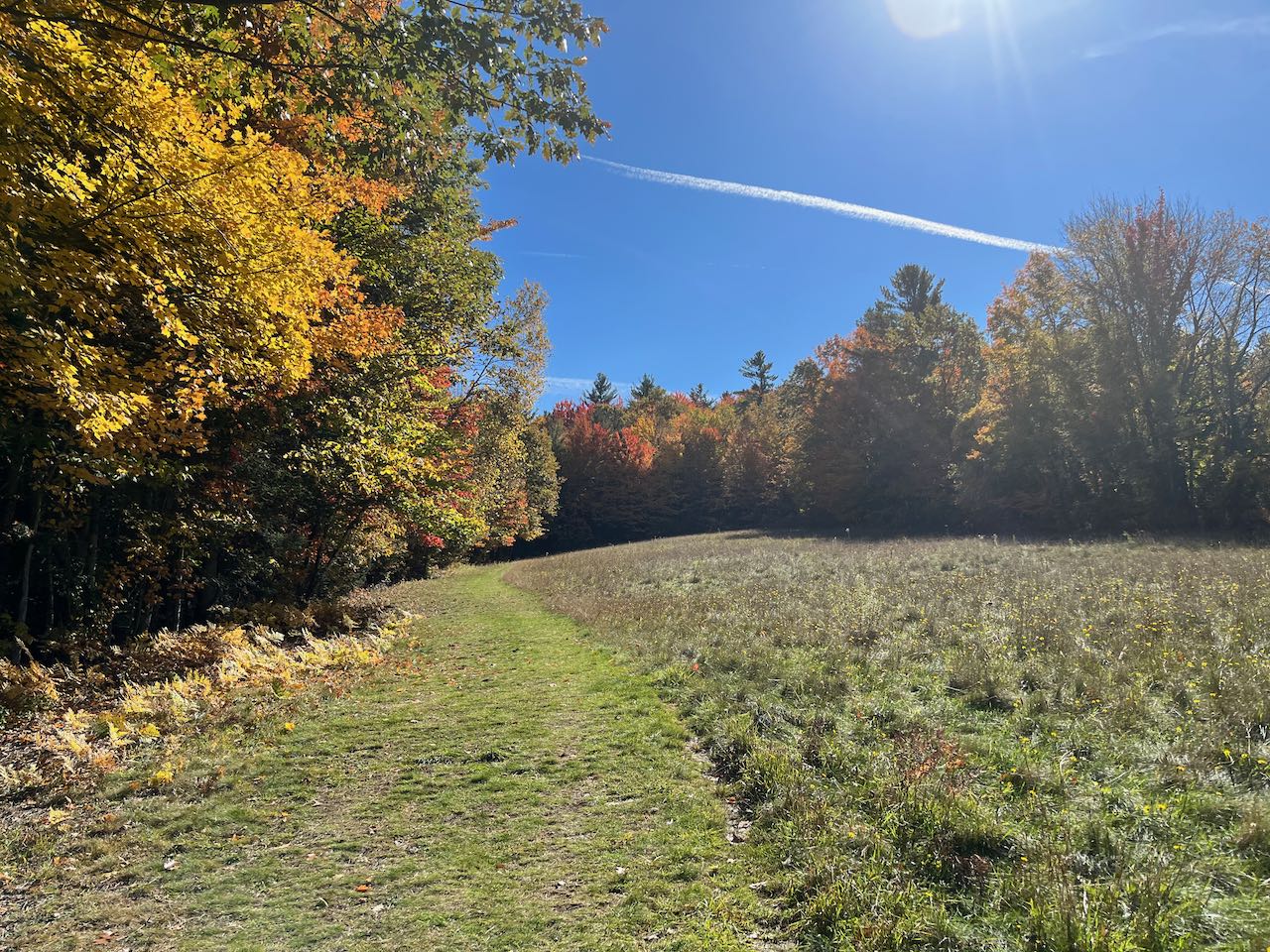 Kilburn Crags NH Family Hikes