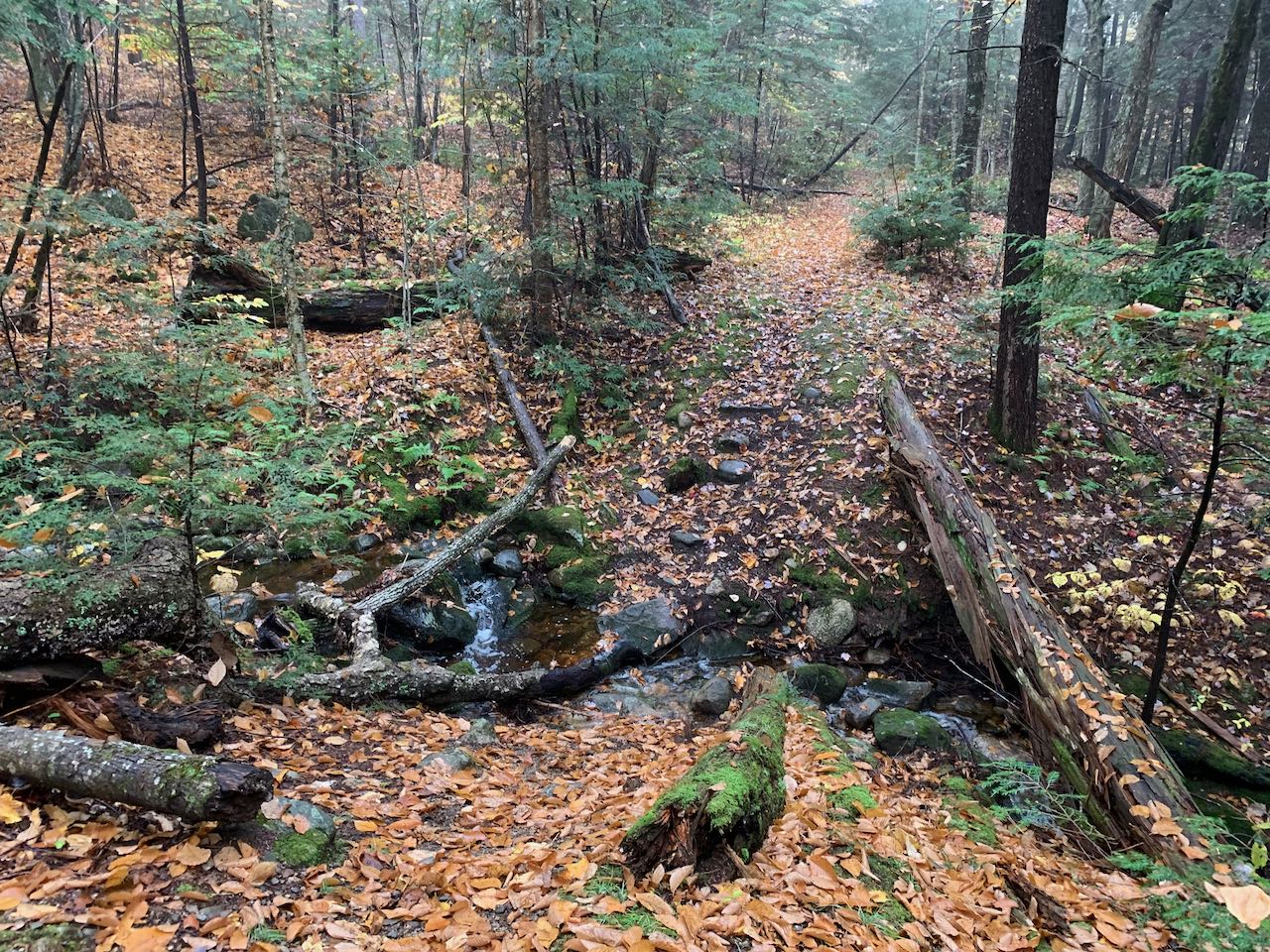 Upper Hall Pond NH Family Hikes